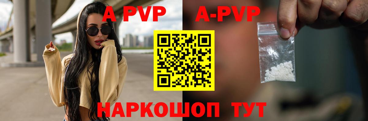 A PVP СК КРИС Балтийск