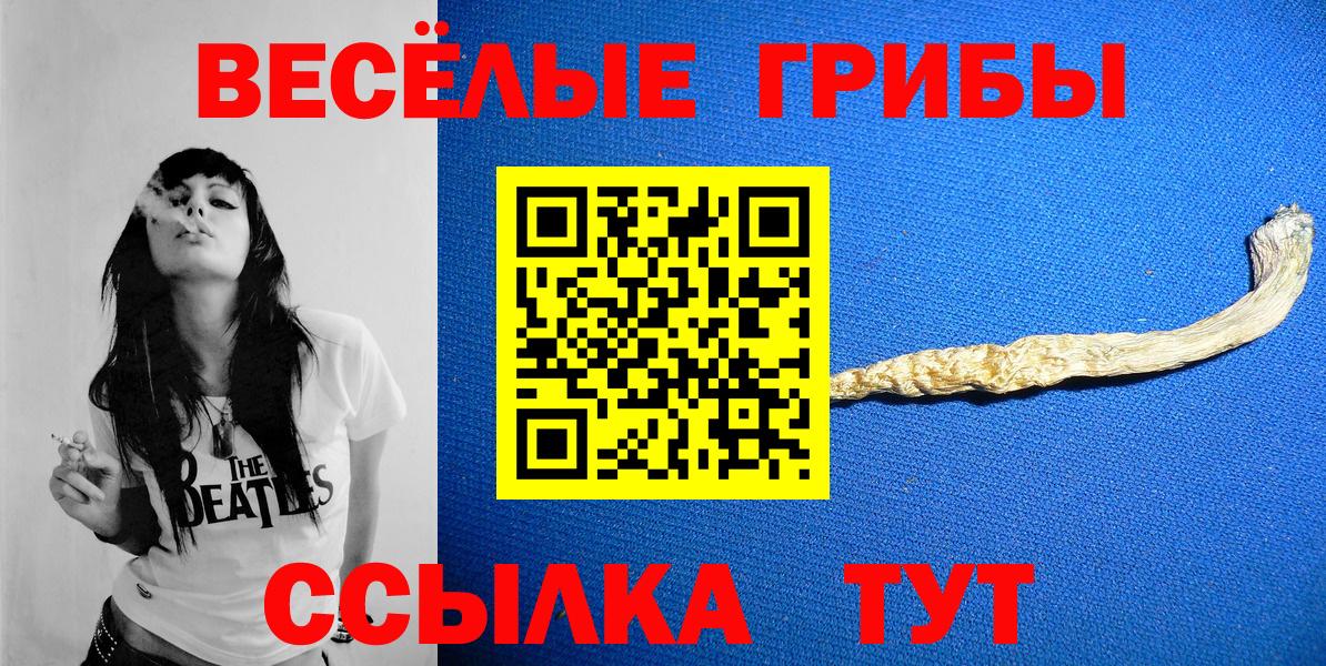 Балтийск  Галлюциногенные грибы Psilocybine cubensis  Вход с VPN 