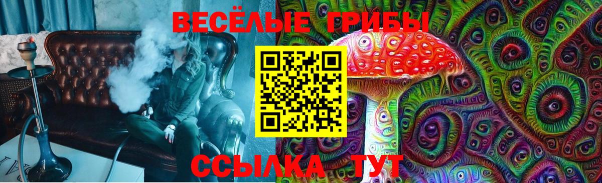 Галлюциногенные грибы мицелий Балтийск